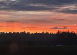 Morgenstimmung Richtung Zürich