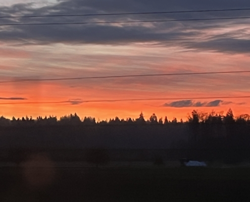 Morgenstimmung Richtung Zürich