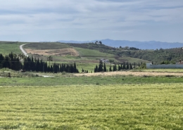 Aussicht Walking