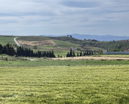 Aussicht Walking