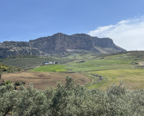 Aussicht Walking