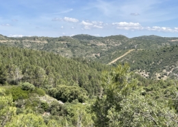 Aussicht Walking