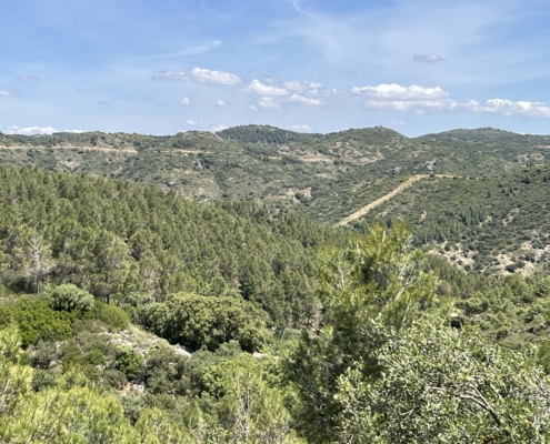 Aussicht Walking