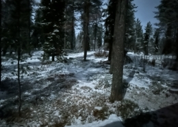 Mitten in der Nacht - bei Mondschein