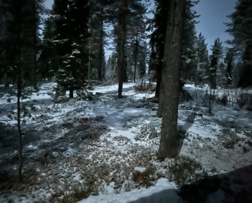 Mitten in der Nacht - bei Mondschein