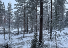 Blick aus Schlafzimmer