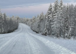 Hinfahrt Riisitunturi