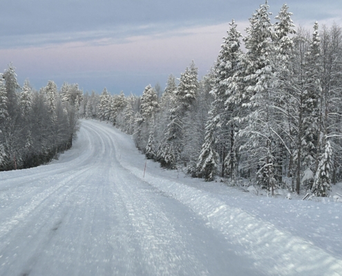 Hinfahrt Riisitunturi