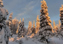 Riisitunturi Sonnenaufgang