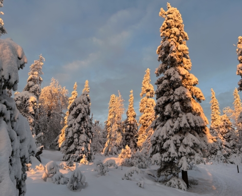 Riisitunturi Sonnenaufgang