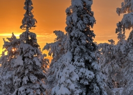 Riisitunturi Sonnenaufgang