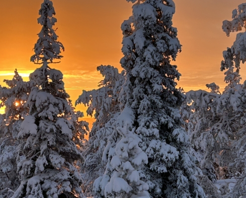 Riisitunturi Sonnenaufgang