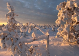 Riisitunturi Sonnenaufgang