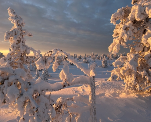 Riisitunturi Sonnenaufgang