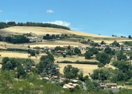 ausgedörrte Felder