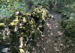 Walking