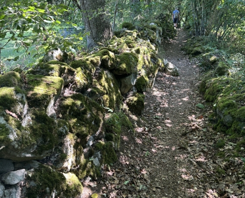 Walking
