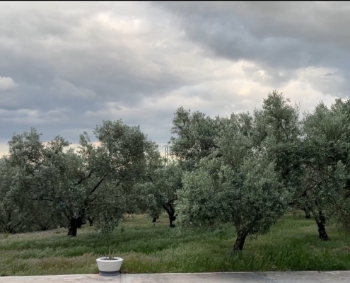 Wetter bei Ankunft